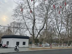 -泰州凤城河风景区-泰山公园