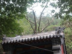 -腊山国家森林公园