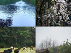 -常德桃花源景区