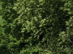 -敬亭山风景名胜区