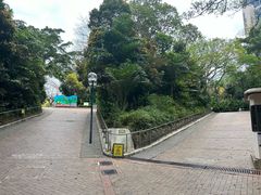 -九龙公园