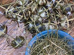 -蟹状元大闸蟹·年货·粽子(成都成华店)
