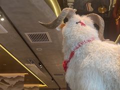 -百草滩羊清水涮羊肉·清真·宁夏盐池滩羊(莲花桥店)