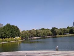 -裕华世纪公园