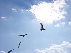 -海埂大坝