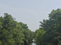 -贡湖湾湿地公园