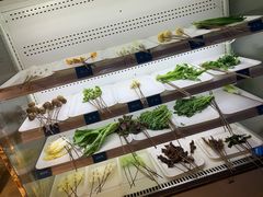 -耗儿鱼蛙蛙叫·老成都火锅(蛇口海昌街店)