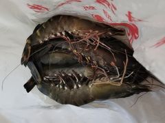 -都斛海鲜街