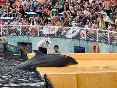 -秦皇岛乐岛海洋王国