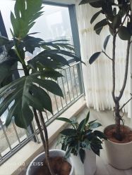 -HEYAN荷妍专业脱毛连锁机构