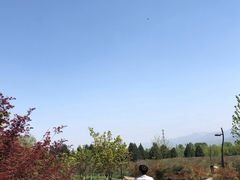 -洨河生态公园