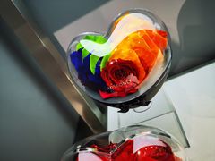 -ROSEONLY诺誓(广州K11店)