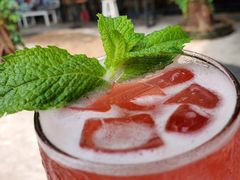 -柴犬高等学院·狗咖·柴犬售卖·宠物训练