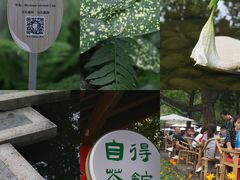 -成都市活水公园