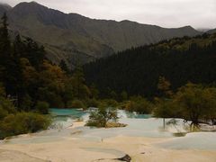 -黄龙山原始森林景区