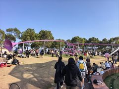 -春花秋色城市公园