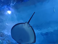 -海合安武汉极地海洋公园