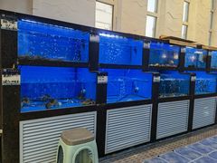 水产区-鲜味食族水产·海鲜餐厅