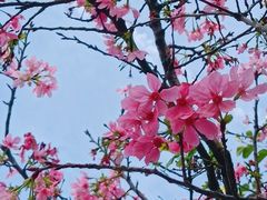 -文华公园(禅城区)