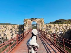 -世界恐龙谷景区