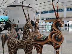 -西宁曹家堡国际机场-T2航站楼