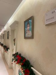 -圣嘉新医疗美容医院