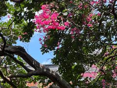 -东山雕花楼
