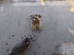 -泉州海丝野生动物世界