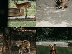 -杭州野生动物世界