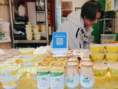 -德禄酸奶(莫家街店)