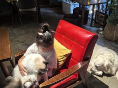 -咖法森林·咖啡  酒吧(天河店)