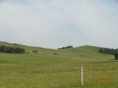 -塞罕坝国家级自然保护区