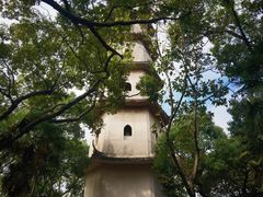 -江心屿景区