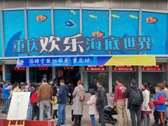 -重庆欢乐海底世界