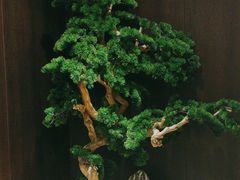 -蜀厨小匠·民间川菜(犀浦店)