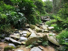 -火炉山森林公园