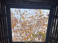 -春晖园度假酒店温泉