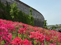 -老门东历史文化街区