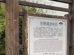 -尧坝古镇