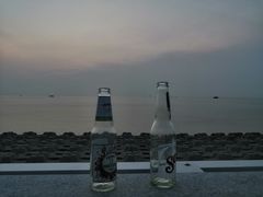 -野狸岛