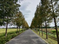 -嘉北郊野公园