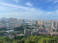 -福道