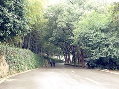 -上海市保健医疗中心(华东疗养院)