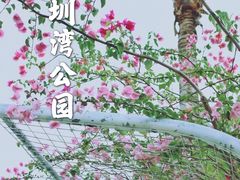 -深圳湾公园(南山区)