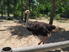 -大连森林动物园