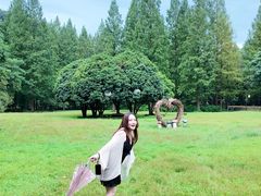 -五泄景区