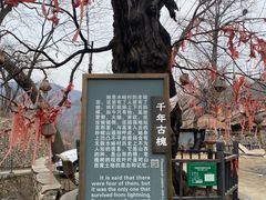 -水峪民俗村