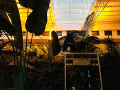 -陆地游轮吉林神农温泉