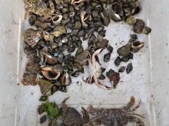 -大连蚂蚁岛度假区