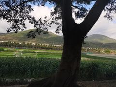 -海南热带海洋学院(三亚校区)